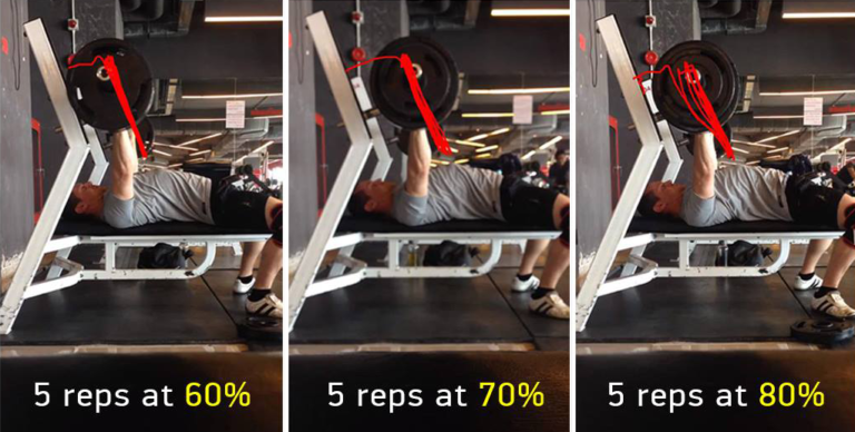 Essentials of Sheiko Programs - Sheiko Gold