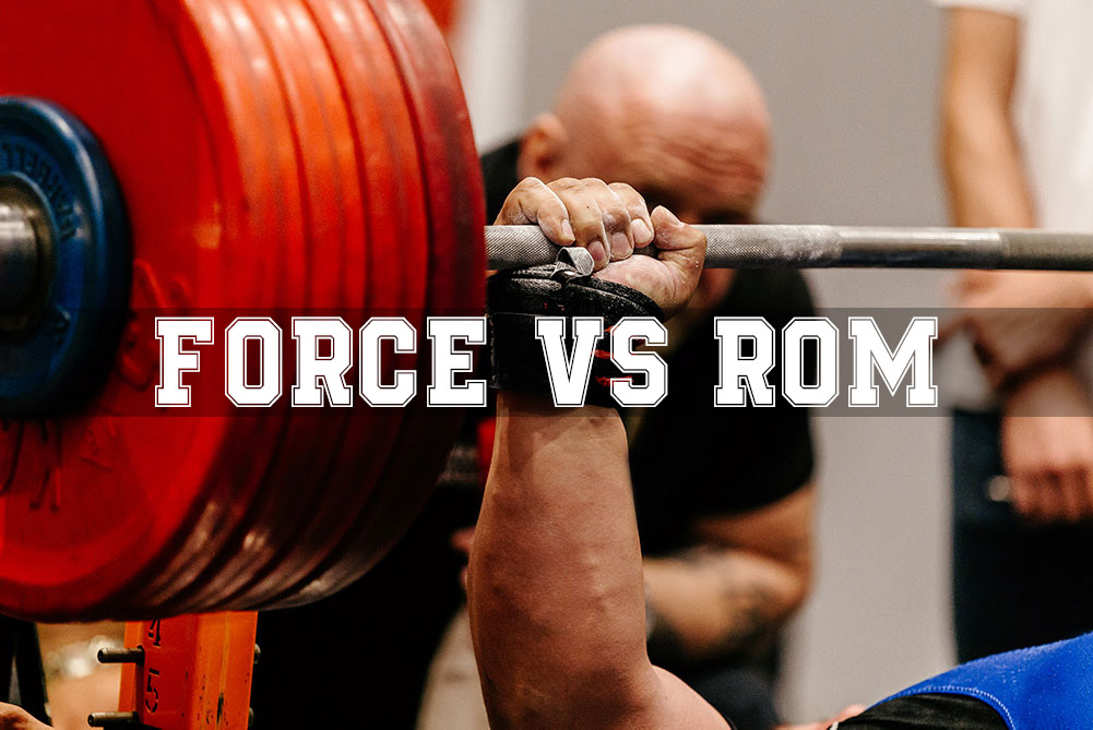 Bench Press Strength Curves Sheiko Gold